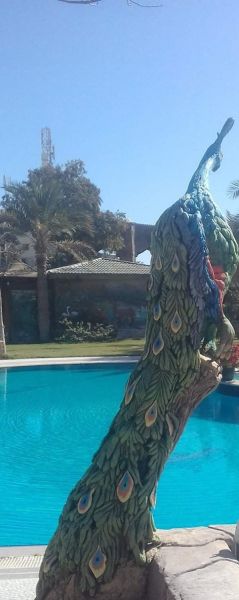 whatsapp image 2024 01 28 at 10.54.28  