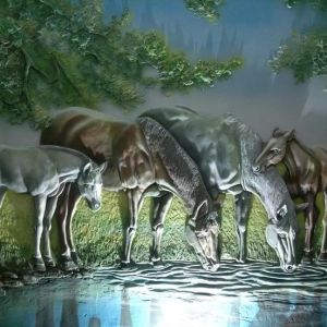 whatsapp image024 018 at 10.54.30  